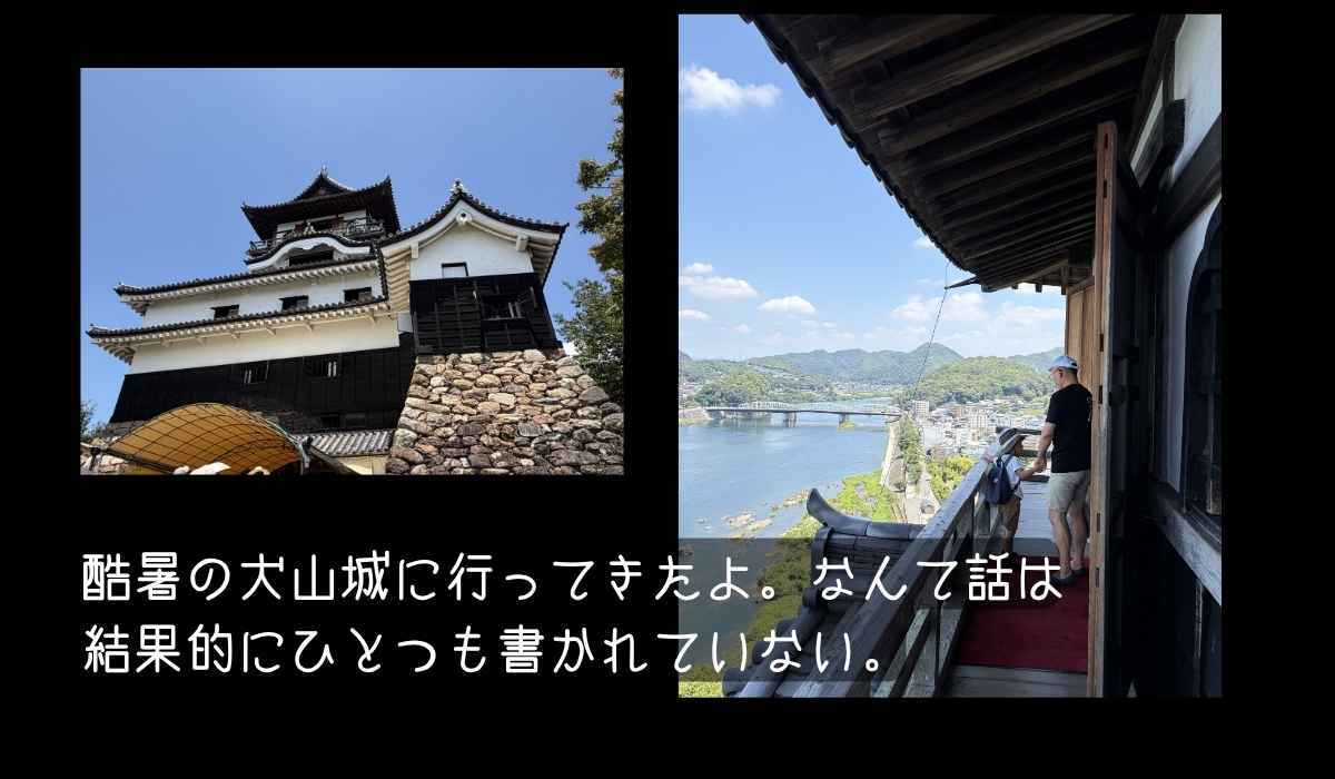 酷暑の犬山城に行ってきたよ。なんて話は結果的にひとつも書かれていない。の写真(長野県木祖村)